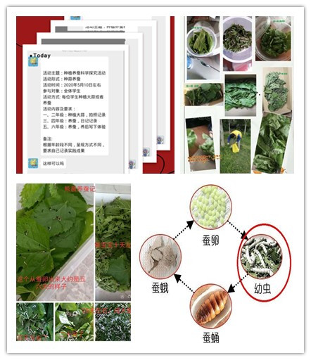 initpintu_副本.jpg initpintu_副本.jpg